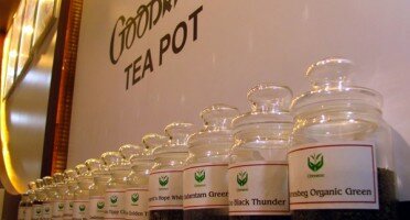 Goodricke Tea-pot, Bhopal