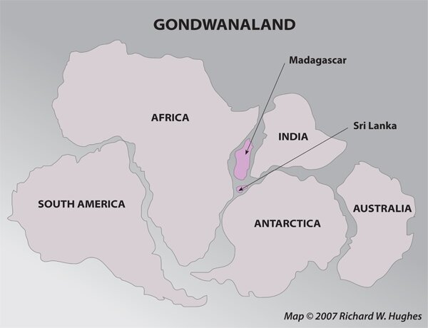 gondwanaland--ruby-sapphire